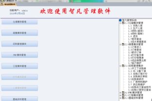 Access SQL 开发管理软件 高效数据库开发的利器