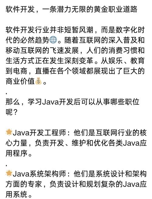 软件开发 数字化时代的黄金职业